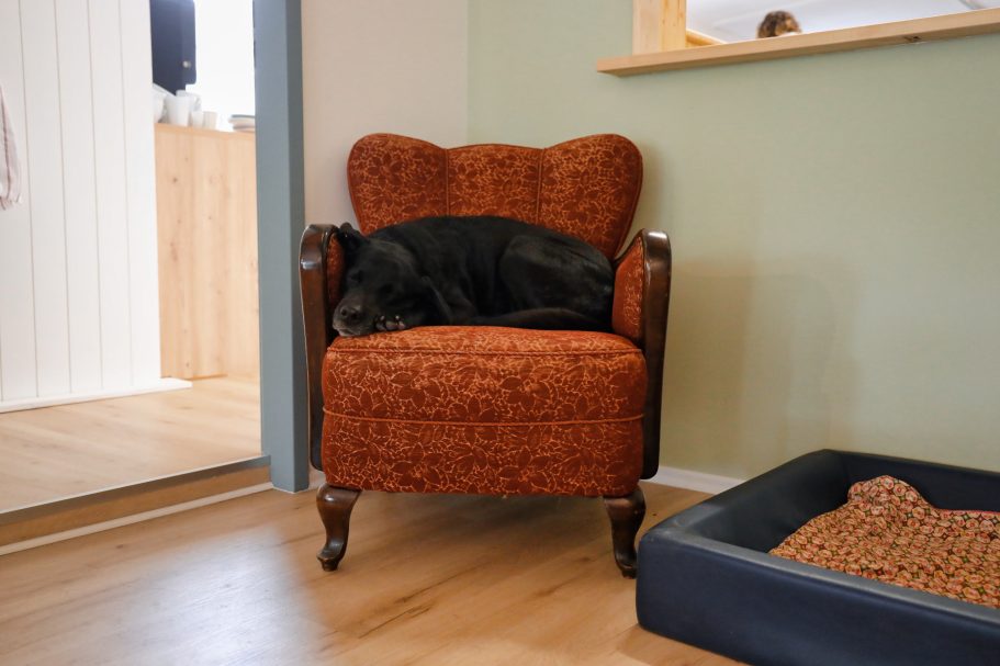 Sessel  Malstudio Altenkirchen